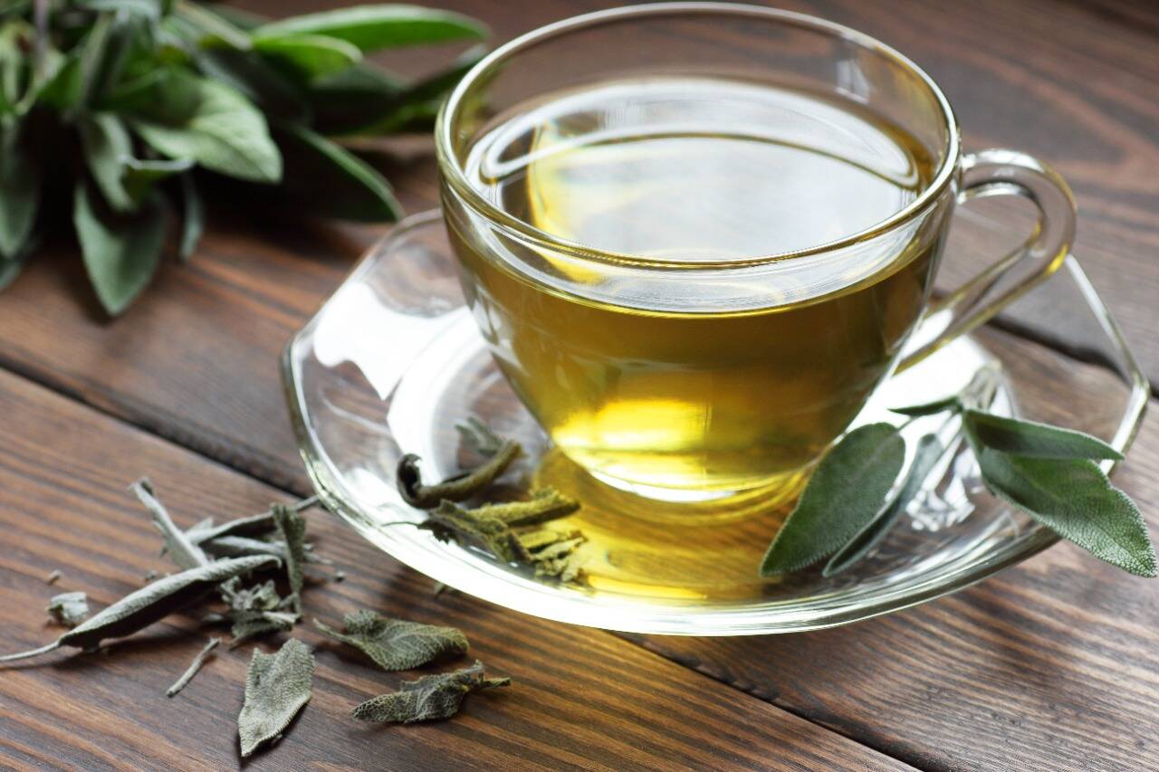 Green Tea - Nutrition: Health Benefits and Facts - Times Foodie