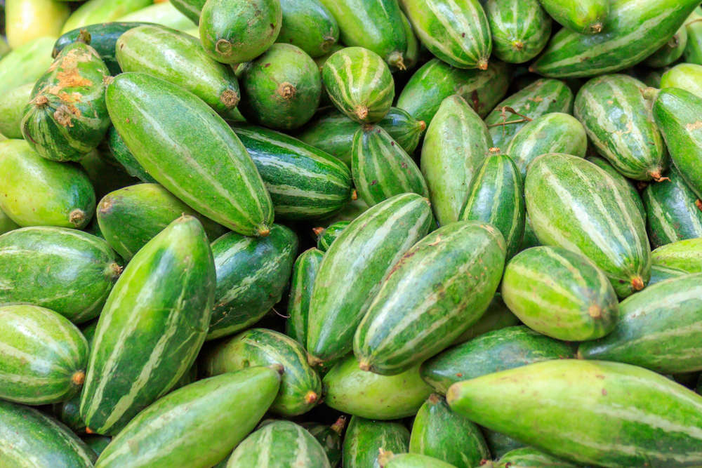 pointed-gourd-nutrition-health-benefits-and-facts-times-foodie