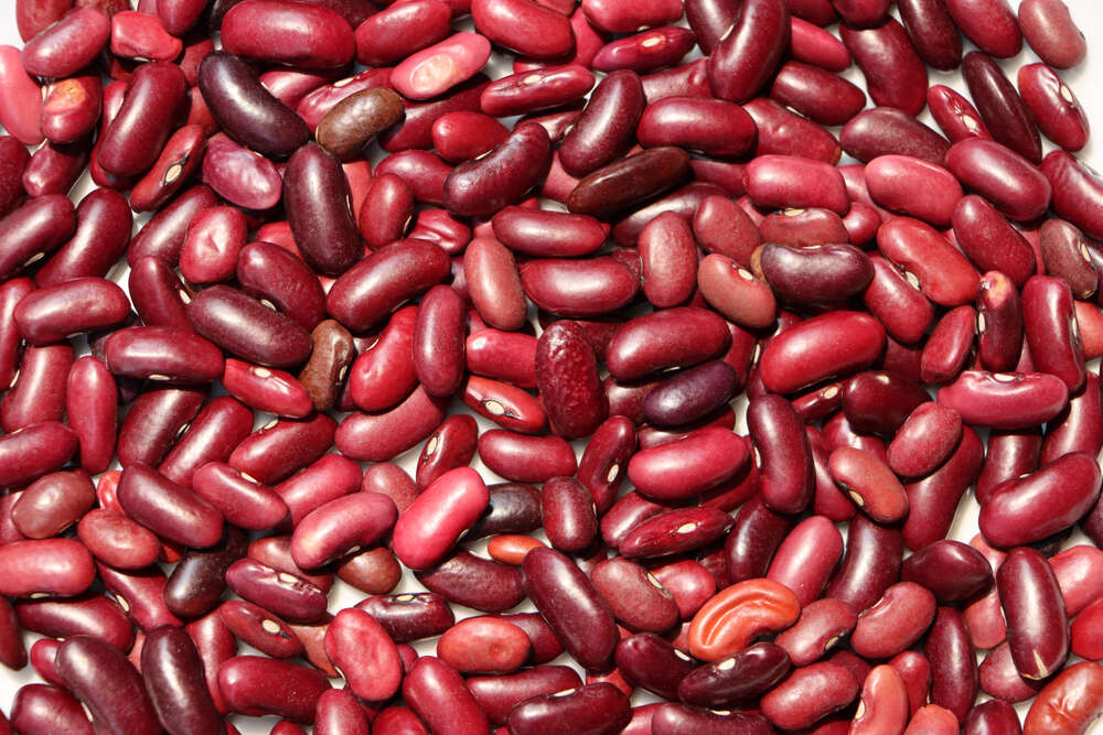 rajma-nutrition-health-benefits-and-facts-times-foodie