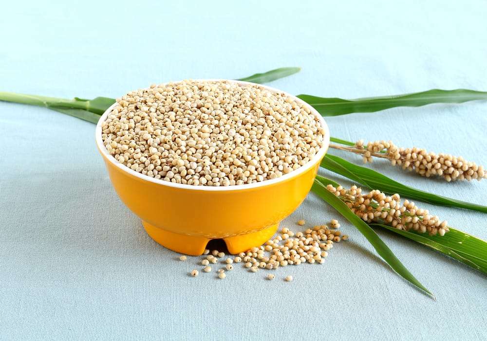 jowar-nutrition-health-benefits-and-facts-times-foodie