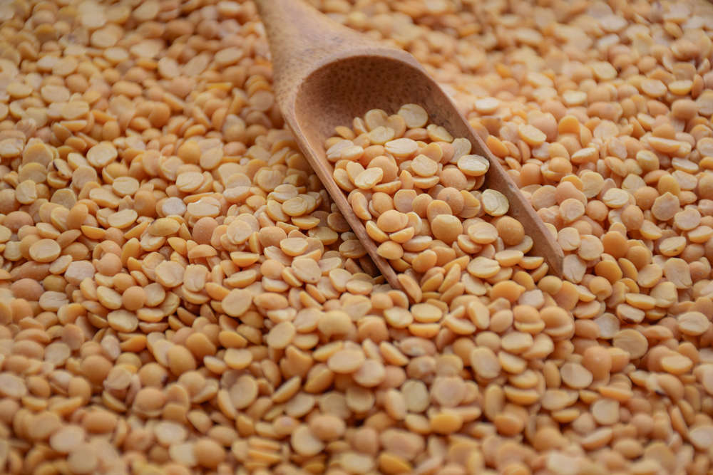 chana-dal-nutrition-health-benefits-and-facts-times-foodie