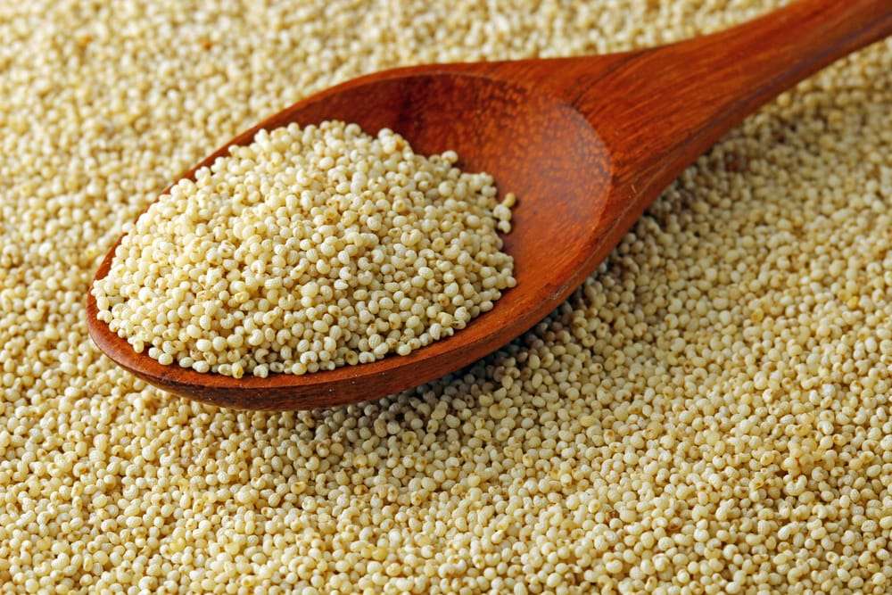 Poppy Seeds - Nutrition: Health Benefits and Facts - Times Foodie