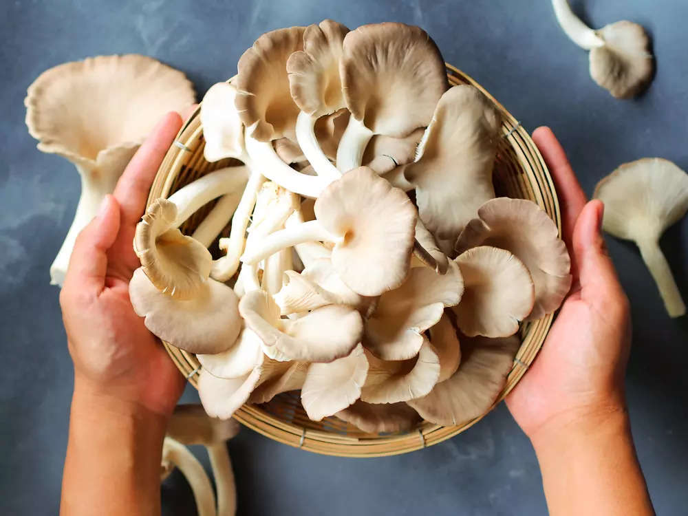 unique-health-benefits-of-oyster-mushrooms-nutrition-health-benefits