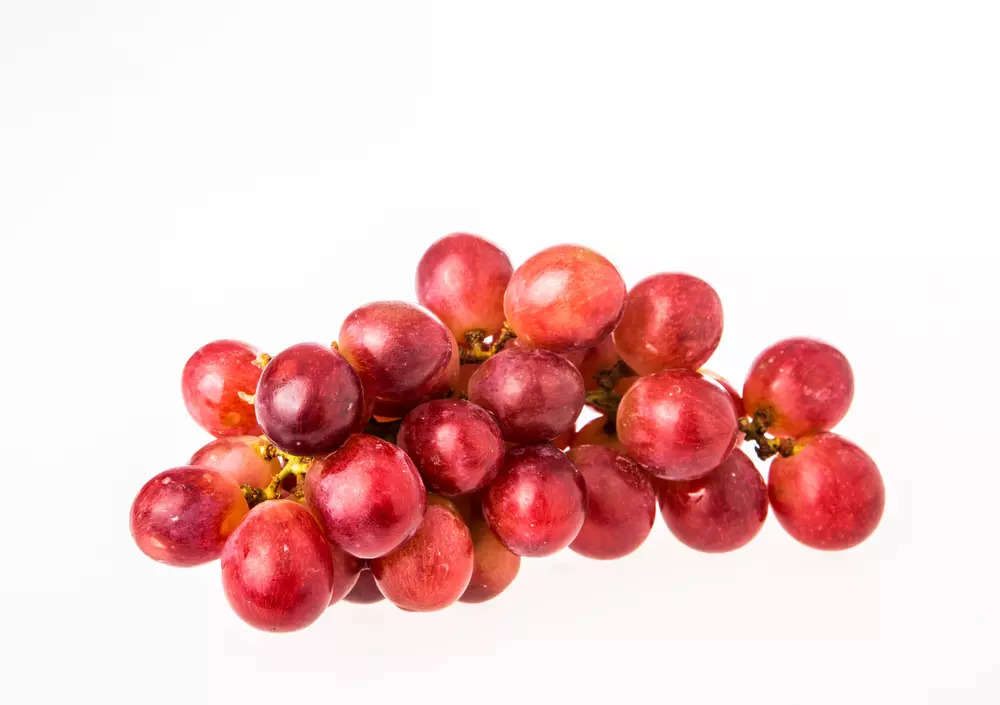 Red grapes nutrition facts and benefits Good for memory and great for