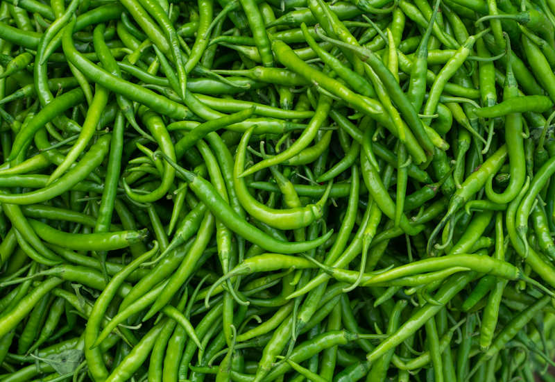 green-chillies-of-uttar-pradesh-hot-sellers-worldwide-indus-business