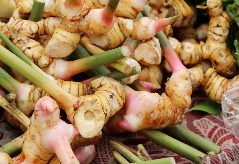 Miraculous Benefits of Galangal on Health - Nutrition: Health Benefits ...